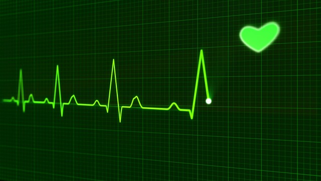 health care in Colorado, public option