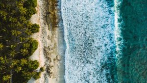 Aerial view of a tropical Margaritaville coastline with waves crashing onto the shore surrounded by palm trees.