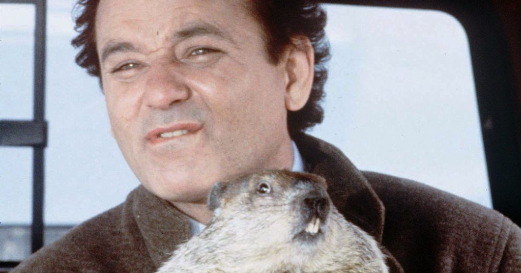 groundhog day colorado tax policy