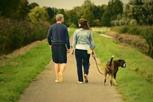 Two people and a dog enjoying their walk on a path through the park, benefiting from the health care affordability of local public exercise spaces.
